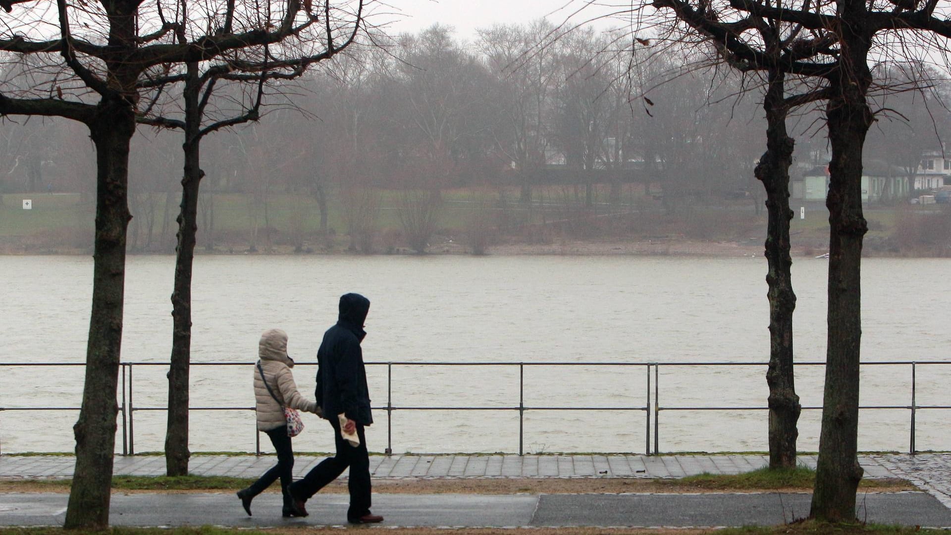 Zwei Spaziergänger an der Promenade in Bonn (Symbolbild): Die Rheinuferpromenade in der Innenstadt soll neu gestaltet werden. Zwei Spaziergänger an der Promenade in Bonn (Symbolbild): Die Rheinuferpromenade in der Innenstadt soll neu gestaltet werden.