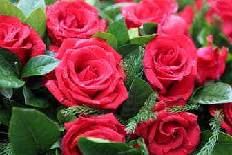 Rote Rosen (Symbolbild): Extra für den Valentinstag dürfen Blumenläden in Bayern öffnen.