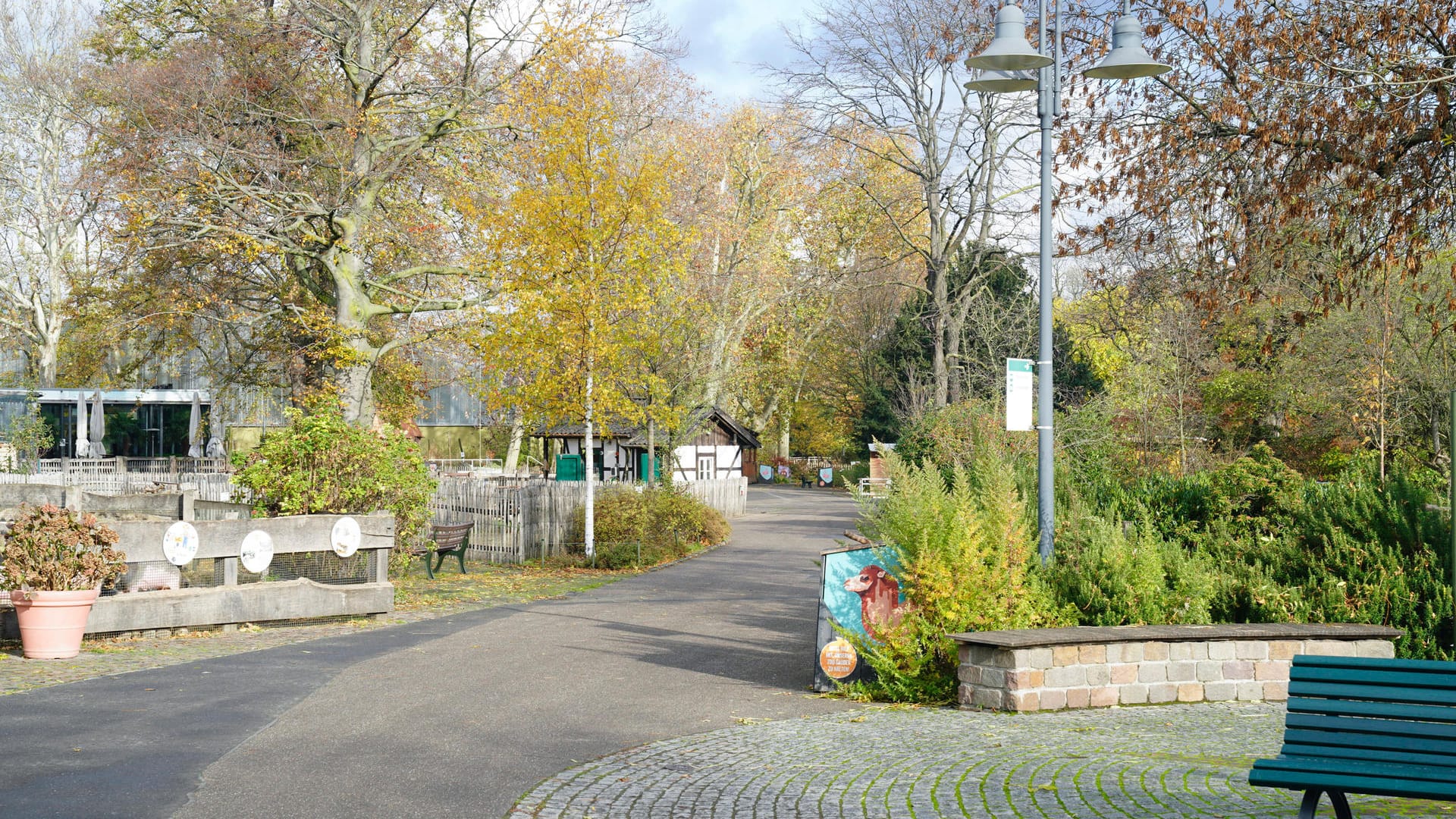 Menschenleere Wege im Kölner Zoo (Archivbild): Wann wieder geöffnet werden darf, ist derzeit noch unklar.