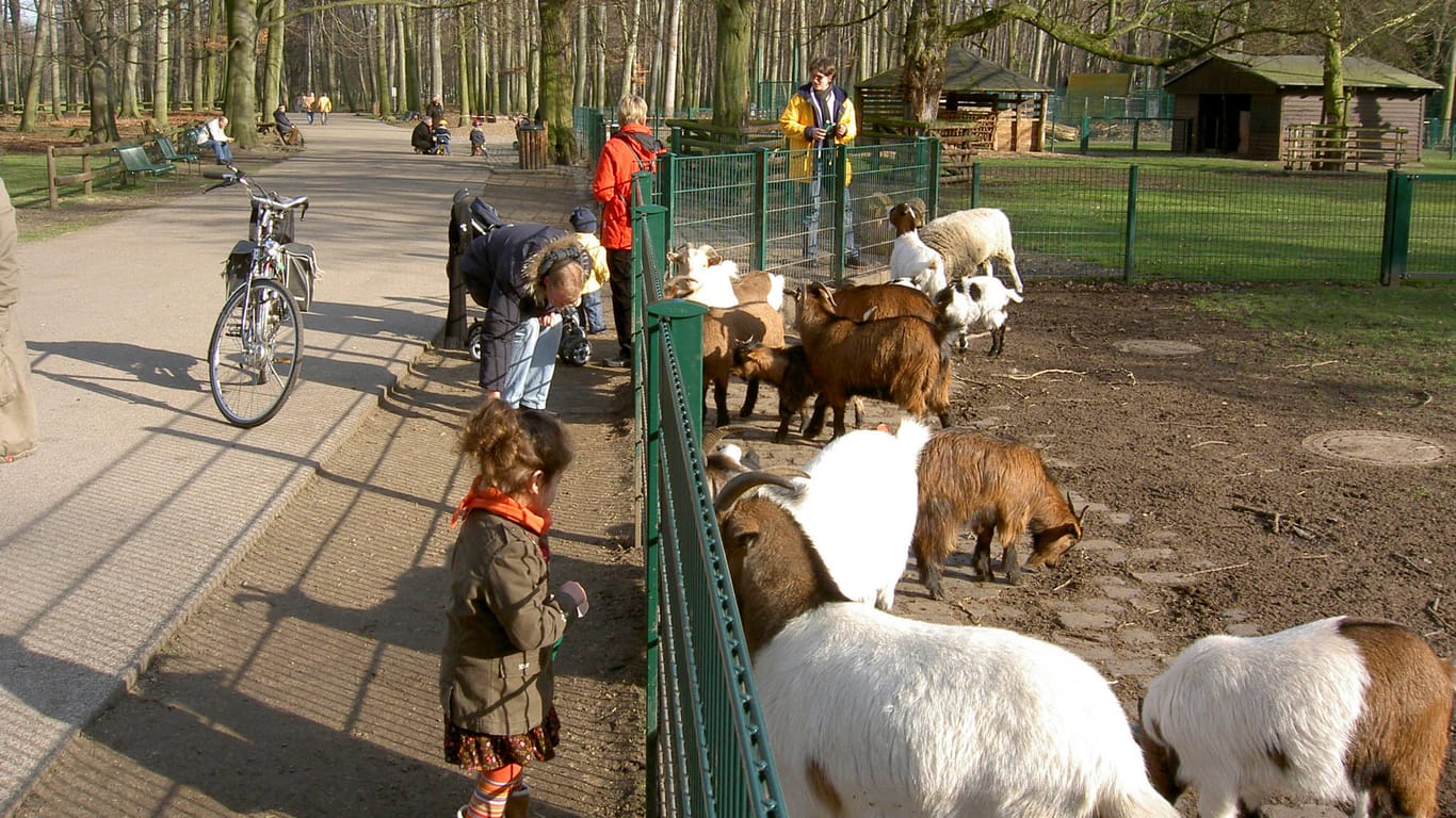 Tierpark-Besucher stehen am Ziegengehege (Archivbild): Seit November haben die Tiere nur noch Kontakt zu ihren Pflegern.