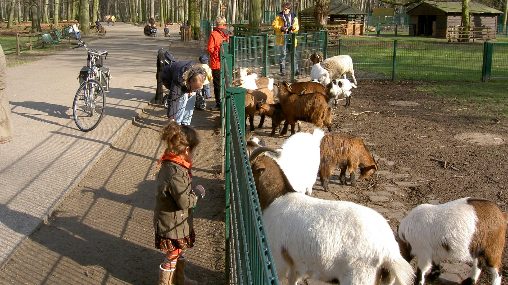 Tierpark-Besucher stehen am Ziegengehege (Archivbild): Seit November haben die Tiere nur noch Kontakt zu ihren Pflegern.
