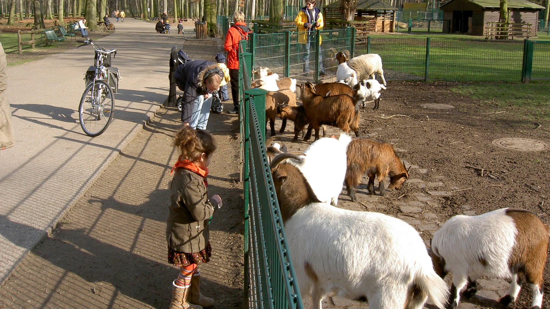 Tierpark-Besucher stehen am Ziegengehege (Archivbild): Seit November haben die Tiere nur noch Kontakt zu ihren Pflegern.