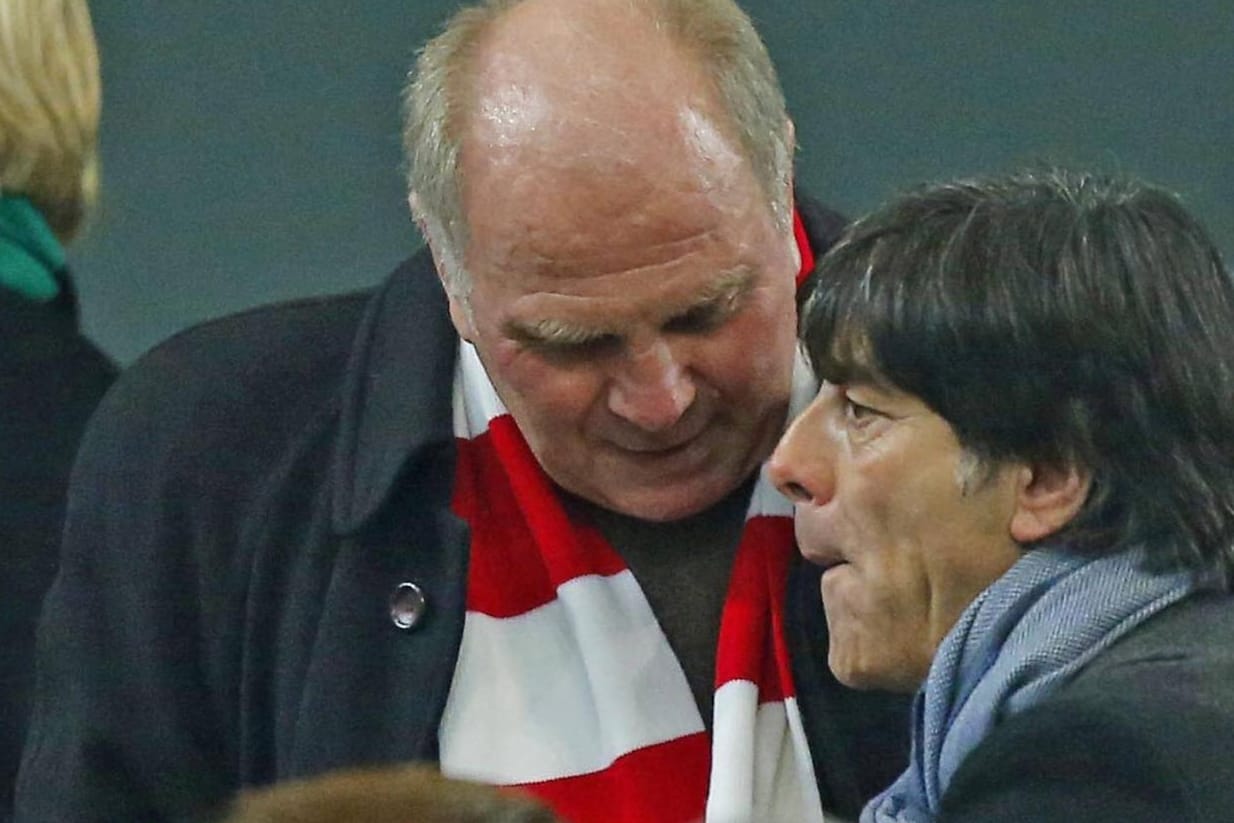 Bundestrainer Joachim Löw freut sich auf die Zusammenarbeit mit Uli Hoeneß: Das Bild stammt aus dem Januar 2014.