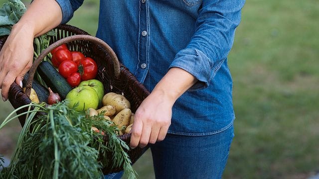 In ihrem Garten sät Nachrichtensprecherin Judith Rakers all das Gemüse aus, das sie selbst gerne isst.