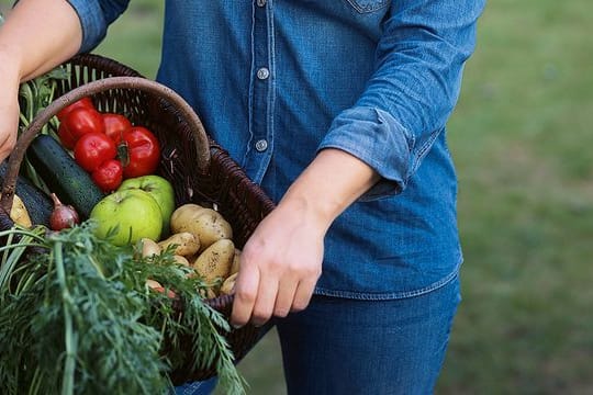 In ihrem Garten sät Nachrichtensprecherin Judith Rakers all das Gemüse aus, das sie selbst gerne isst.