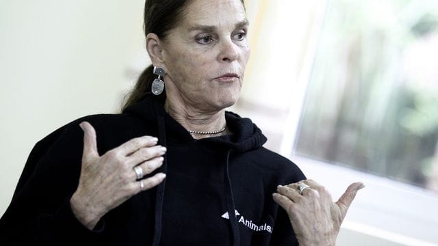 Für ihre Rolle in "Love Story" gewann Ali MacGraw einen Golden Globe und erhielt eine Oscar-Nominierung. Für ihre Rolle in "Love Story" gewann Ali MacGraw einen Golden Globe und erhielt eine Oscar-Nominierung.
