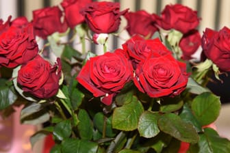 Rote Rosen in einer Vase (Symbolbild): Die Kirche in Stuttgart feiert am Valentinstag auch Gottesdienste für Singles.