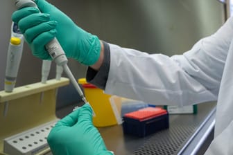 Ein Forscher zeigt, wie ein PCR-Test für die Analyse auf Mutationen des Coronavirus vorbereitet wird. Die Infektionszahlen sinken langsam.