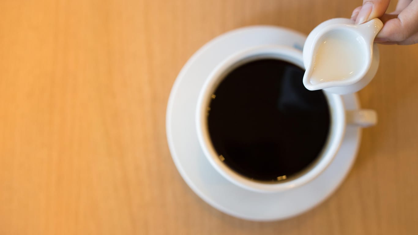 Milchweißer: Kaffeesahne und Kondensmilch machen Kaffee bekömmlicher.