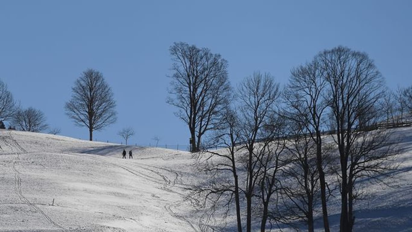 Schnee und starker Frost sind nach Ansicht von Bodenexperten gut für die Beschaffenheit des Bodens.