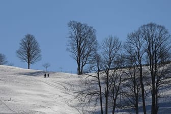 Schnee und starker Frost sind nach Ansicht von Bodenexperten gut für die Beschaffenheit des Bodens.