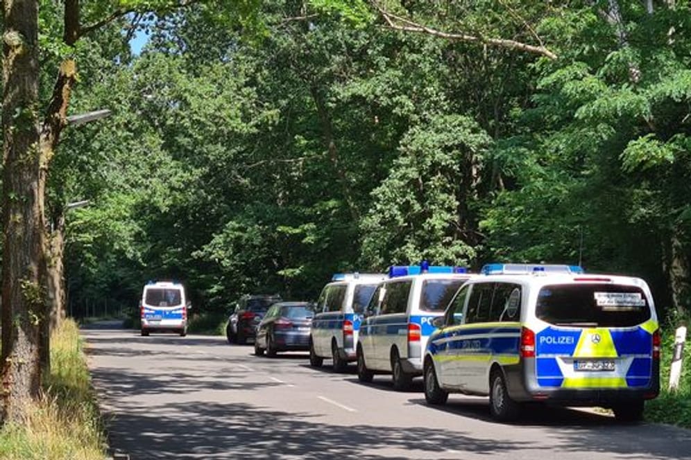 Polizeiautos stehen in einem Waldstück zwischen Babelsberg und Dreilinden.