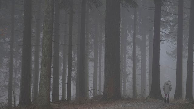 Lange Tristesse: In der Corona-Pandemie ist die Nachfrage nach Psychotherapien gestiegen. Lange Tristesse: In der Corona-Pandemie ist die Nachfrage nach Psychotherapien gestiegen.