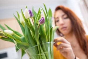 Tulpen in der Vase können weiterwachsen.