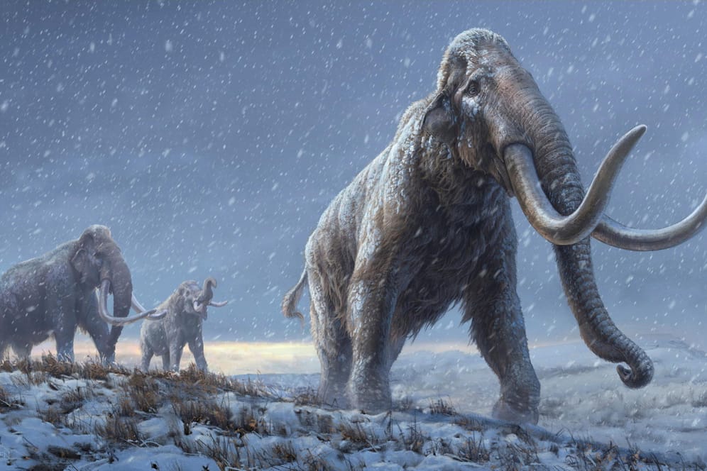 Eine digitale Rekonstruktion von Steppenmammuts: Sie lebten vor mehr als einer Million Jahren.