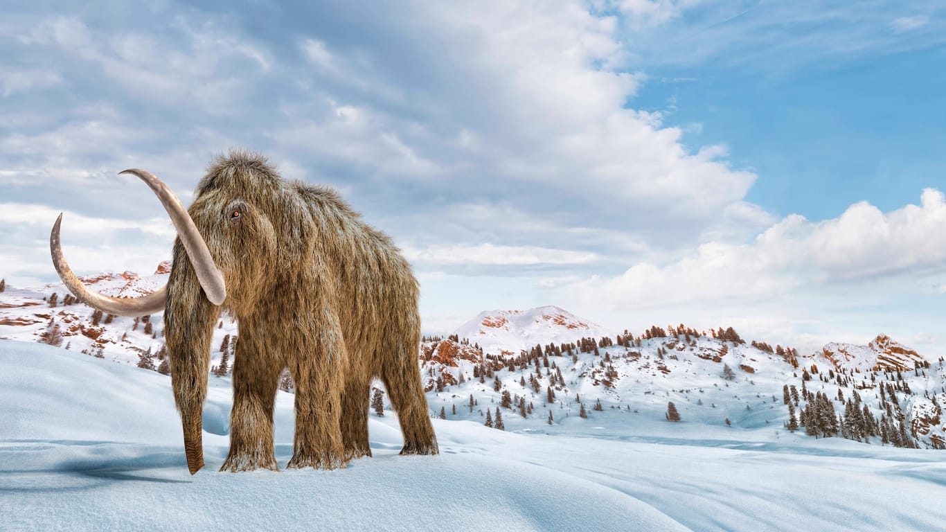 Eine Rekonstruktion eines Wollhaar-Mammuts: Im sibirischen Permafrost haben Forscher die ältesten DNA-Spuren gewonnen, die der Wissenschaft jemals zur Verfügung standen.