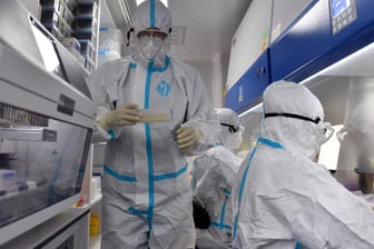 Labor in China: Weltweit gehen Forscher der Frage nach, wo der Ursprung des Coronavirus liegt.