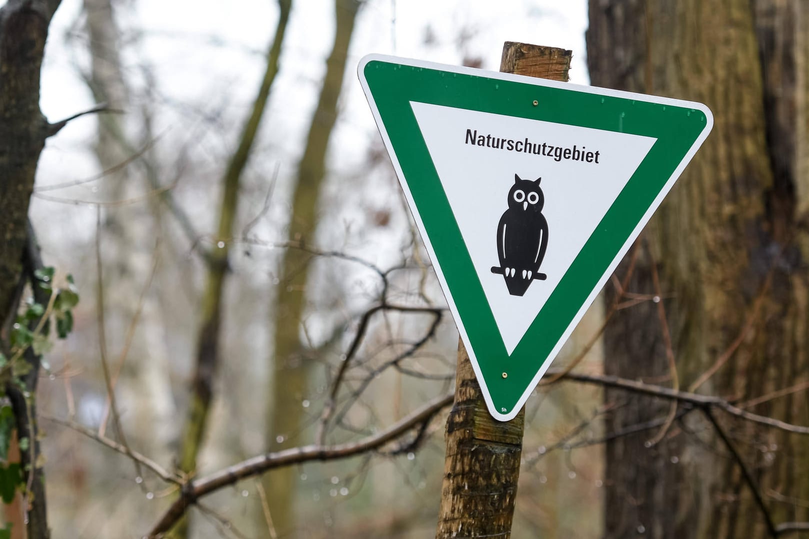 Schild mit der Aufschrift "Naturschutzgebiet": Die EU sieht für über 4.000 deutsche Gebiete keinen hinreichenden Naturschutz (Symbolbild).