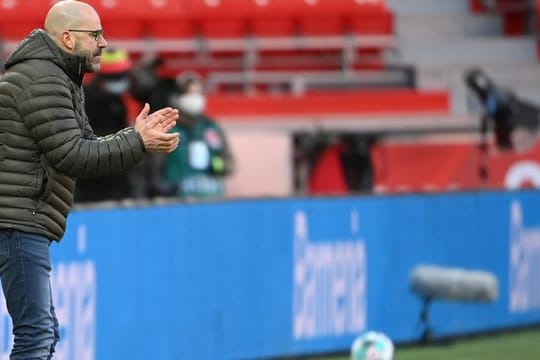 Leverkusens Trainer Peter Bosz muss in Augsburg weiter auf Torhüter Lukas Hradecky verzichten.