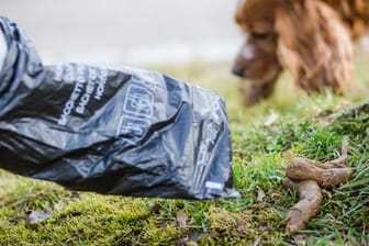 in Mann greift auf einer Wiese nach einem Hundehaufen