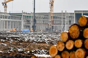 Abgeholzte Kiefernstämme liegen auf dem Baugelände der Tesla Gigafactory Berlin-Brandenburg (Archivbild): Wegen der Rodungsarbeiten gibt es einen Rechtsstreit um Tierschutz.