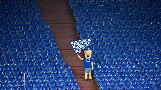 Schalke-Maskottchen Erwin schwenkt auf der sonst leeren Tribüne während des Revierderbys eine Fahne. Schalke-Maskottchen Erwin schwenkt auf der sonst leeren Tribüne während des Revierderbys eine Fahne.