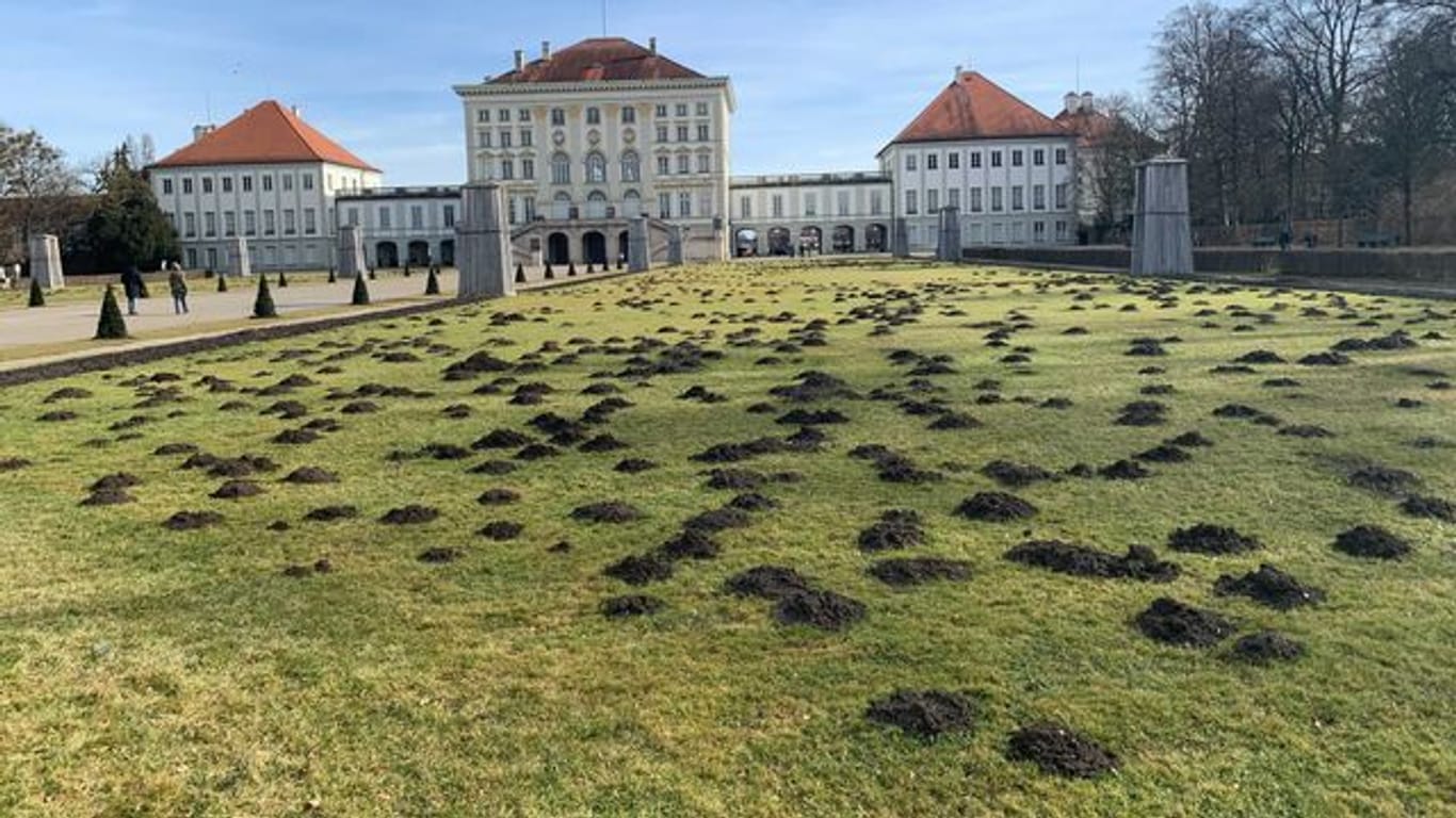 Viele Maulwurfshügel sind auf der Wiese im Park von Schloss Nymphenburg zu sehen: Auf dem Zierrasen werden die Hügel von Mitarbeitern wieder glatt gezogen.