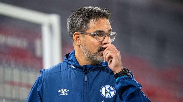 Glaubt nicht, dass der Abstieg der Königsblauen noch zu vermeiden ist: David Wagner. Glaubt nicht, dass der Abstieg der Königsblauen noch zu vermeiden ist: David Wagner.