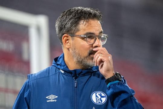Glaubt nicht, dass der Abstieg der Königsblauen noch zu vermeiden ist: David Wagner.