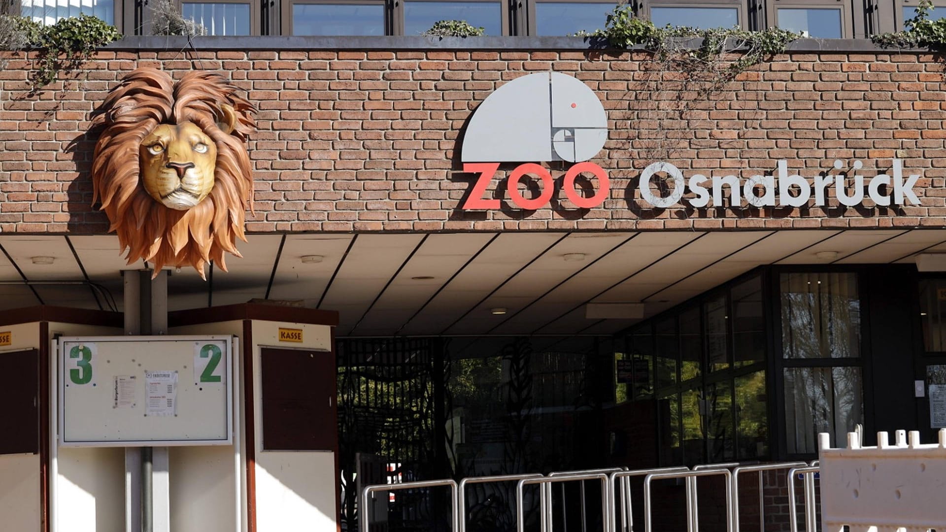 Osnabrücker Zoo: Eine junge Frau wurde in einem Löwenkäfig verletzt.