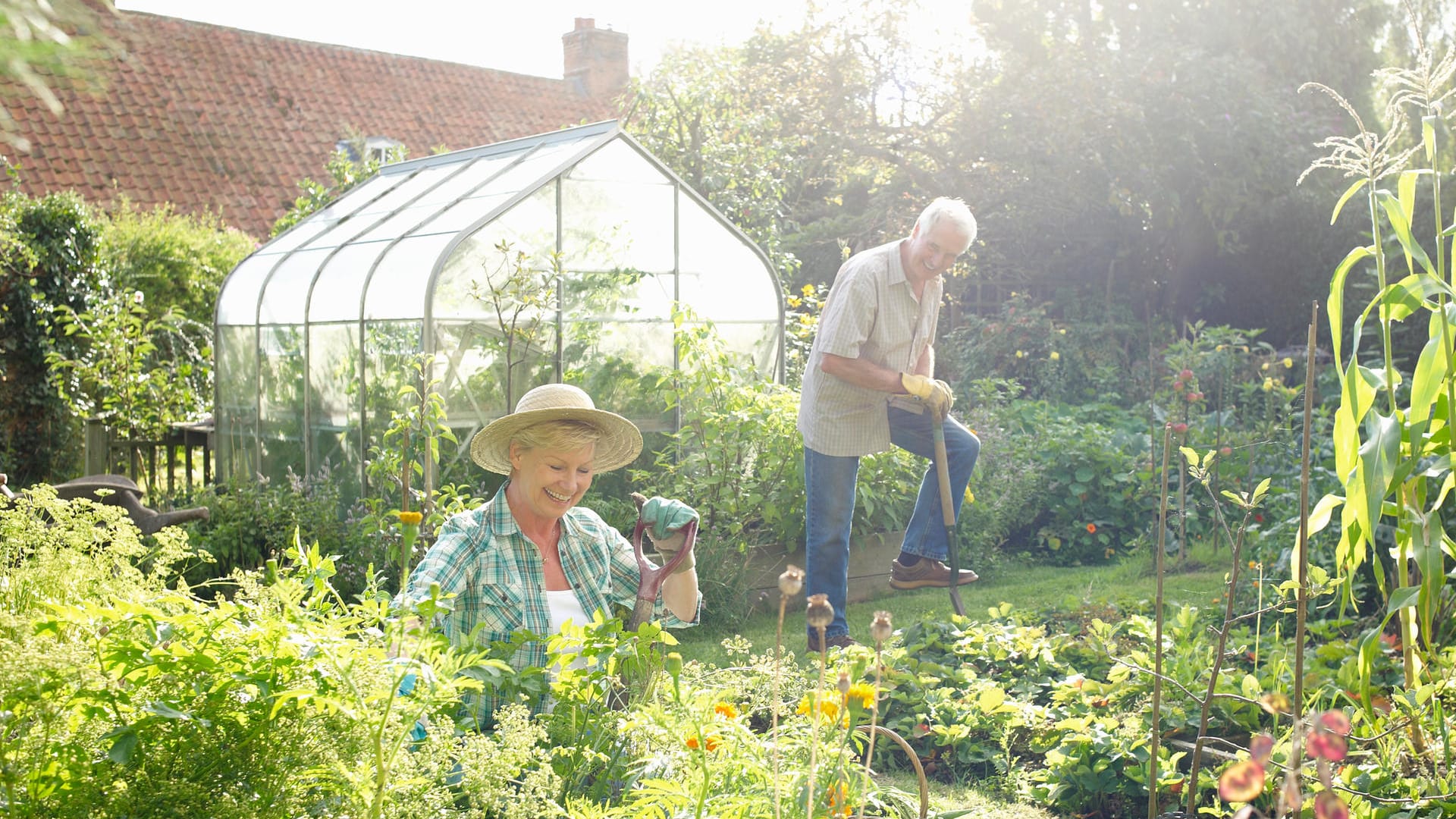 Gewächshäuser im Vergleich: Fünf Modelle für den heimischen Garten.