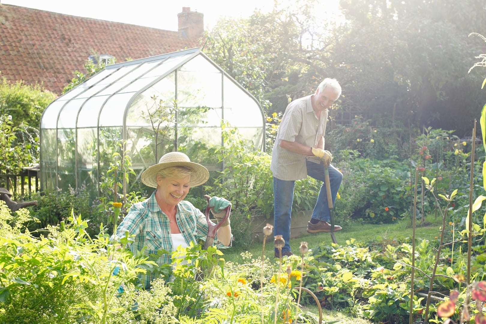 Gewächshäuser im Vergleich: Fünf Modelle für den heimischen Garten.