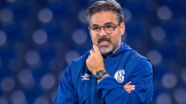 David Wagner sieht schlechte Zeiten auf den FC Schalke 04 zukommen. David Wagner sieht schlechte Zeiten auf den FC Schalke 04 zukommen.