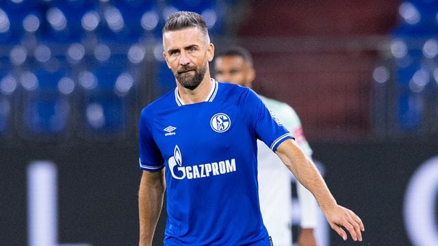 Gab nur ein kurzes Gastspiel im Trikot von Schalke 04: Vedad Ibisevic.