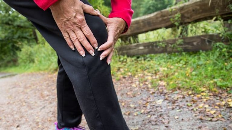 Kniearthrose: Regelmäßige Bewegung kräftigt die Muskeln rund ums Knie und beugt Arthrose vor.