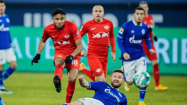 Shkodran Mustafi (u) glaubt noch an den Klassenerhalt des FC Schalke 04. Shkodran Mustafi (u) glaubt noch an den Klassenerhalt des FC Schalke 04.