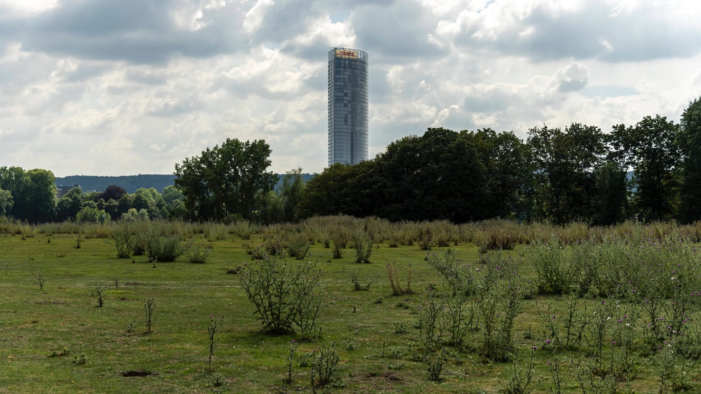 Die Rheinaue mit Blick auf den Post-Tower in Bonn: Bei gutem Wetter sind hier viele Menschen unterwegs.