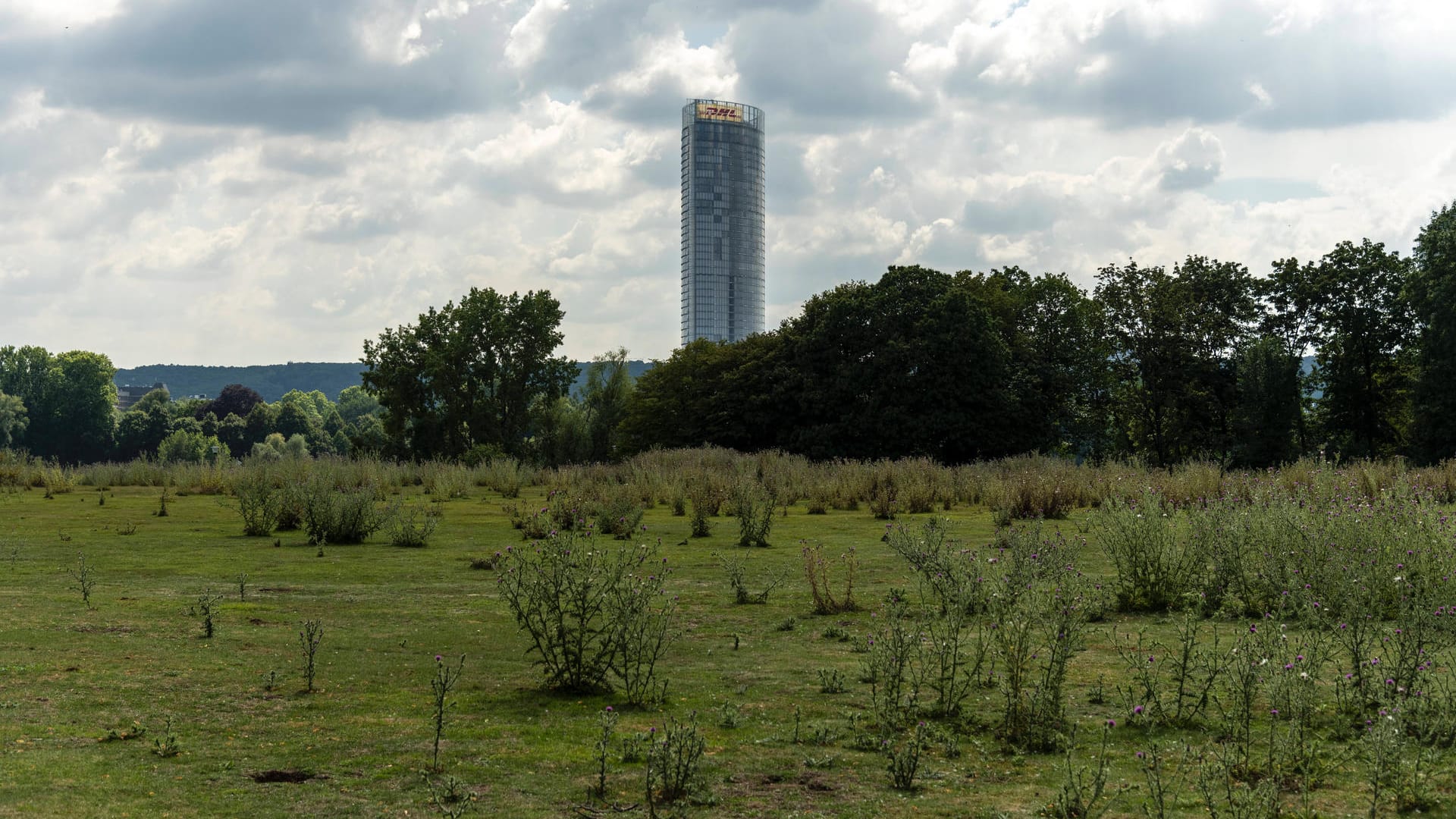 Die Rheinaue mit Blick auf den Post-Tower in Bonn: Bei gutem Wetter sind hier viele Menschen unterwegs. Die Rheinaue mit Blick auf den Post-Tower in Bonn: Bei gutem Wetter sind hier viele Menschen unterwegs.