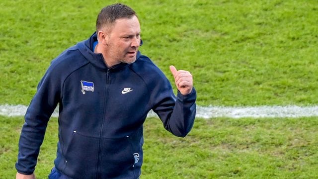 Hertha-Trainer Pal Dardai möchte, dass seine Spieler Energie auf dem Platz versprühen. Hertha-Trainer Pal Dardai möchte, dass seine Spieler Energie auf dem Platz versprühen.