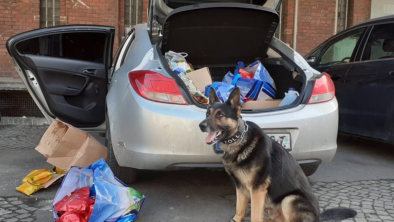Zollhund Django vor einem Auto: Der Zoll in Essen hat mithilfe des Hundes 500 Kilogramm gefälschten Wasserpfeifentabak sichergestellt.