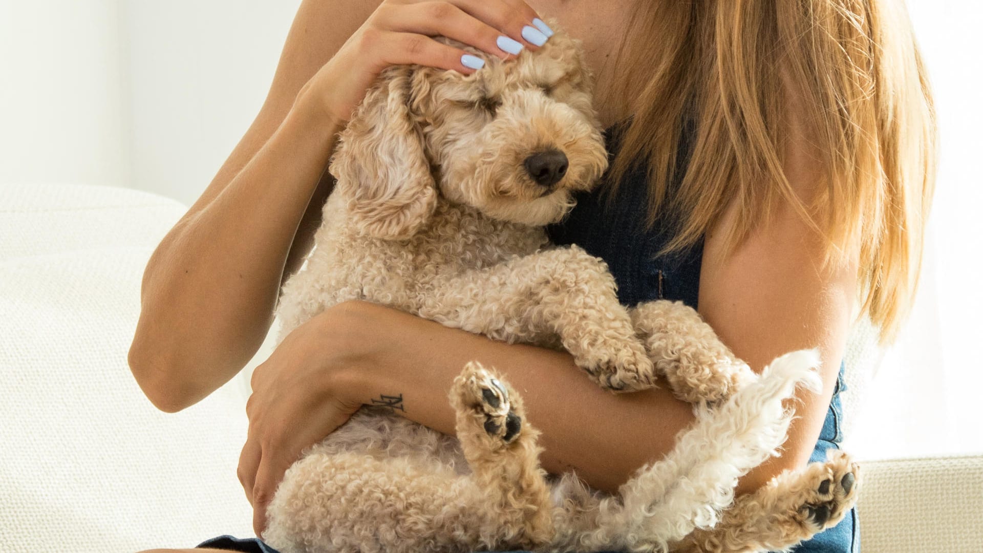 Hund tätscheln: Das kommt bei dem Vierbeiner nicht so gut an. Auch Umarmen verursacht Stress.