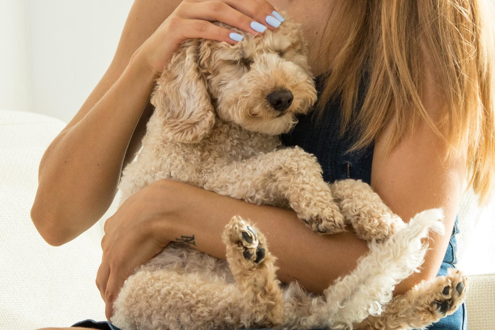 Hund tätscheln: Das kommt bei dem Vierbeiner nicht so gut an. Auch Umarmen verursacht Stress.