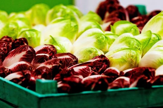 Kombiniert mit Äpfeln, Fenchel oder Honig ist Chicorée weniger bitter.
