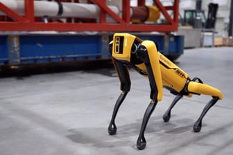 Der Roboter Hund "Spot": Die New Yorker Polizei hat im Stadtteil Bronx eine umgebaute Version von "Spot" eingesetzt.