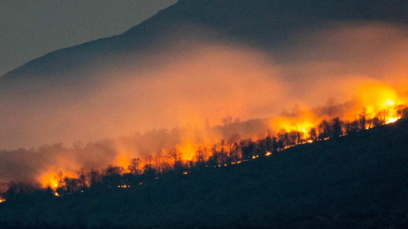 Waldbrand: Durch die Klimakrise gibt es immer mehr und schwerere Katastrophen wie Waldbrände oder Fluten (Symbolbild).