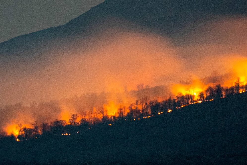 Waldbrand: Durch die Klimakrise gibt es immer mehr und schwerere Katastrophen wie Waldbrände oder Fluten (Symbolbild).