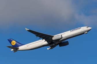 Airbus A330: Die deutsche Fluggesellschaft Lufthansa hat Airbus in ihrer Flotte. (Symbolbild)
