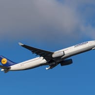 Airbus A330: Die deutsche Fluggesellschaft Lufthansa hat Airbus in ihrer Flotte. (Symbolbild)