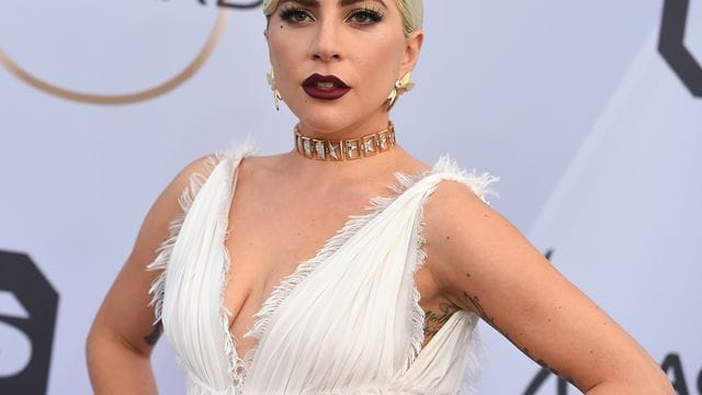 Lady Gaga kann aufatmen: Ihr Hunde sind zurück. Lady Gaga kann aufatmen: Ihr Hunde sind zurück.