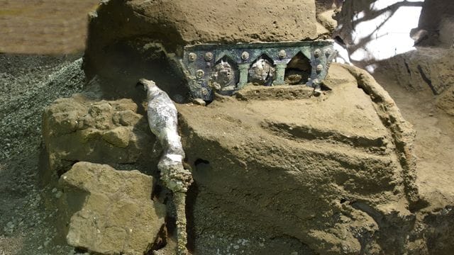 In Pompeji haben Archäologen einen einzigartigen Triumphwagen aus der Antike ausgegraben.